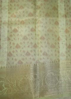 Pure Banarasi Chynia Silk Patan Patola Pista Green Saree