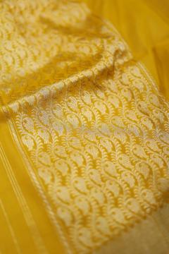 Pure Banarasi Golden Yellow 3 Piece Suit